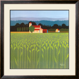 Spring Wheat Field