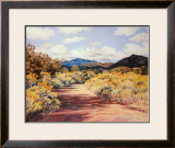 Buy Arroyo Chamiso at AllPosters.com