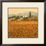 Buy Late Summer, Tuscany at AllPosters.com