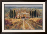 Toscan Vigna