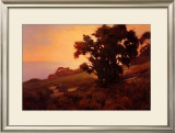 Buy Golden Light at Sunset at AllPosters.com