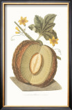 Buy Melon at AllPosters.com