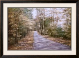 Autumn Path