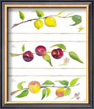 Buy Summer Branches at AllPosters.com