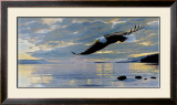 Dawn Flight