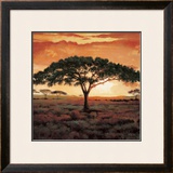 Masai Tree