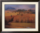 Valley View