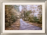 Autumn Path