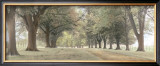 Buy Avenue of Trees at AllPosters.com