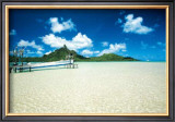 Buy Langoonarium at AllPosters.com