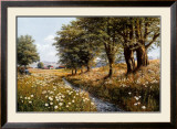 Buy Summer Brook at AllPosters.com