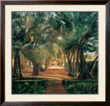 Buy Allee of Olives at AllPosters.com