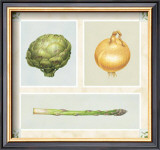 Antique Vegetables