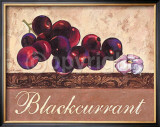 Buy Blackcurrant at AllPosters.com