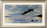 Dawn Flight
