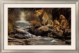 Buy Watchful Eye at AllPosters.com