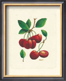 Cherries