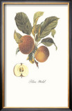 Buy Apple, Blanc-Michel at AllPosters.com