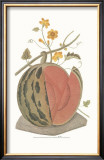 Buy Melon at AllPosters.com
