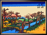 Evening Glow at the Koganei Bridge