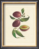 Plums