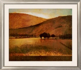 Morning Meadow
