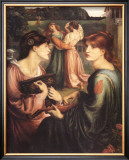 The Bower Meadow