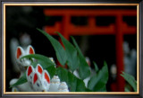Shrine Foxes, Japan