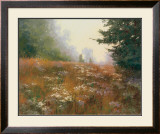 Buy Septembers Wild Asters at AllPosters.com