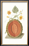 Buy Melon at AllPosters.com