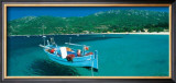 Buy Campomoro at AllPosters.com
