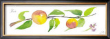 Buy Peach Branch at AllPosters.com