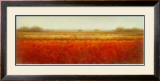Buy Field of Poppies at AllPosters.com