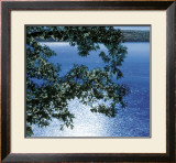 Silver Light, 2006