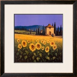 Buy Golden Warmth at AllPosters.com