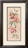 Buy Apricots at AllPosters.com