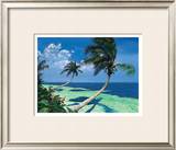Beckoning Palms
