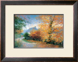 Buy Autumn at Pen-Y-Bont-Fawr at AllPosters.com