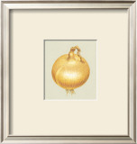 Onion