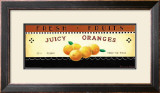 Buy Fresh Fruits: Juicy Oranges at AllPosters.com