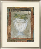 Lime Fresco