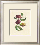 Plums