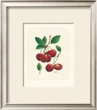 Buy Cherries at AllPosters.com