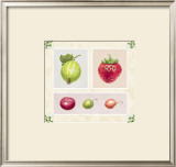 Buy Antique Fruits at AllPosters.com