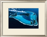 Buy Polynesie at AllPosters.com