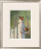 Buy Wrens on Fence Post at AllPosters.com