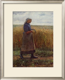 Summer Harvest Framed Art Print