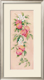 Apricots
