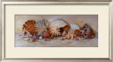Buy Ocean Still Life II at AllPosters.com