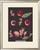 Buy Peaches at AllPosters.com